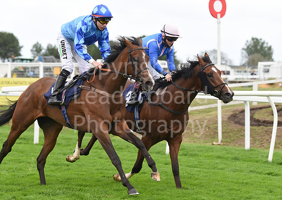 Gt_Yarmouth_Races_230Aug-24