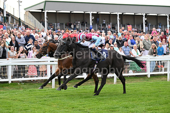 Gt_Yarm_24_Aug_2025-182