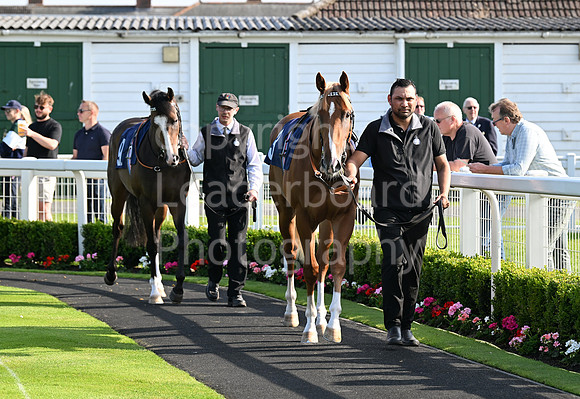 Gt_Yarm_Ladies_Night_17th_July_2024-39