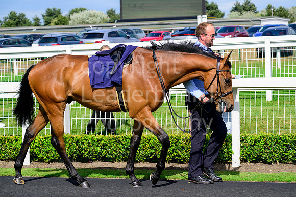 NZ9_4406