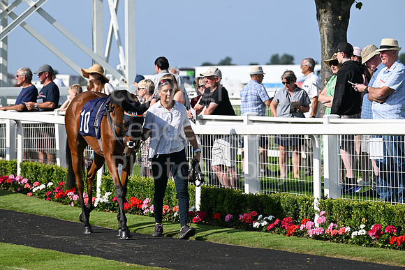 Gt_Yarm_July_30_2024-252