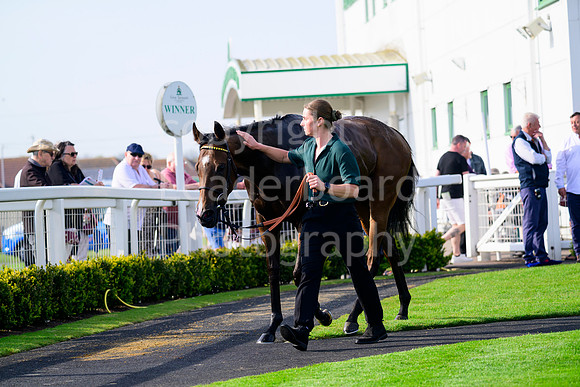 NZ9_5963