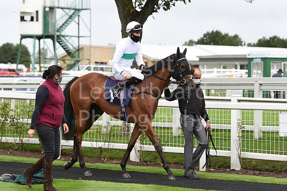 Gt_Yarmouth_Races_230Aug-12