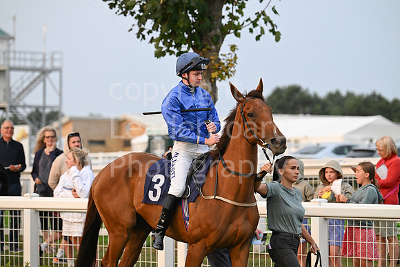 Gt_Yarm_19_Aug_Evening_Race-226