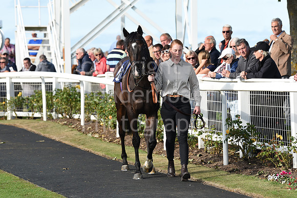 Gt_Yarm_Eastern_Fest_Day_2-202
