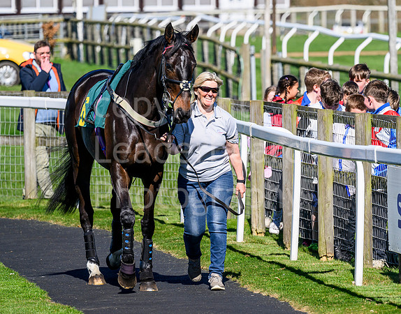 NZ9_8190