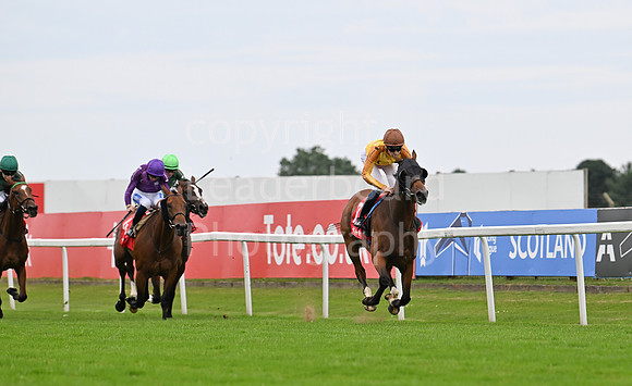 Gt_Yarm_July25_Racing_League_2024-32