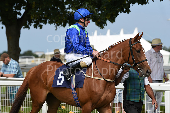 Gt_Yarm_Races_22_July2021-48