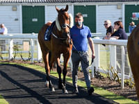 Gt_Yarm_1st_June_2021-3