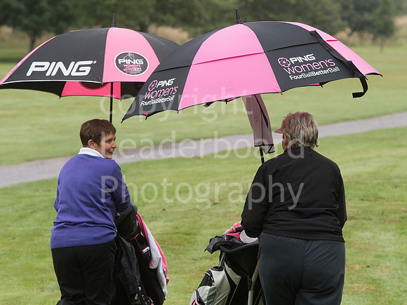 NB_22_Grand_Final_Ping