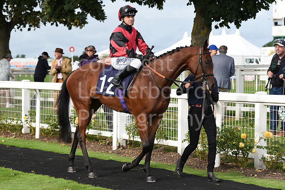 Gt_Yarm_Races_24_Aug_2021-236