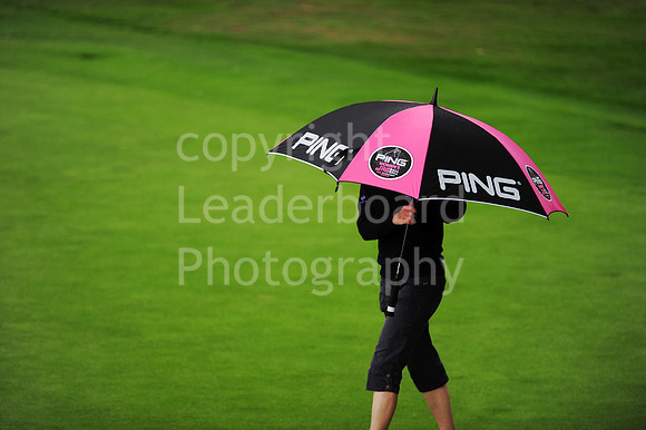 LB_89_Ping_Plate_Final_2011.jpg