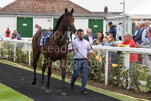 Yarm_Races_17July-17