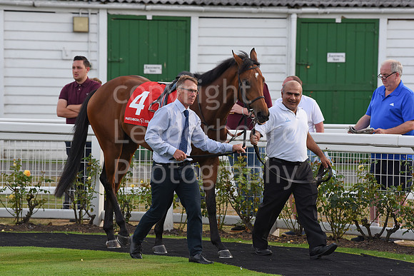 19_GY_Racing_7_Aug
