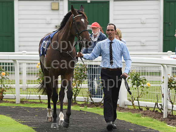 Gt_Yarm_Races_24_Aug_2021-36