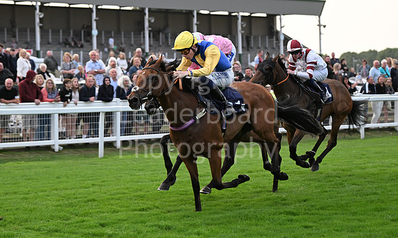 Gt_Yarm_19_Aug_Evening_Race-250