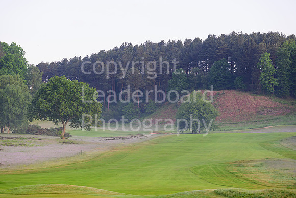 NB_272_Brab_2024