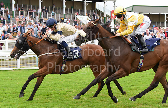 Gt_Yarm_06_July_2022-179