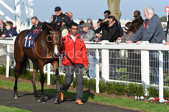 Gt_Yarm_Season_Finale_19Oct_2021-43