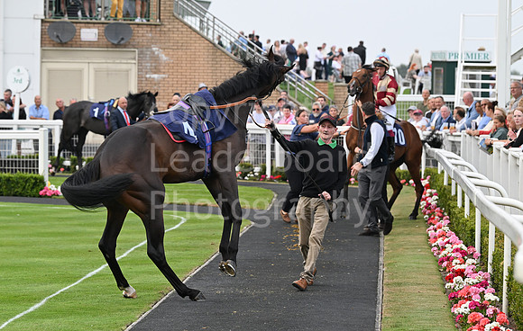 Gt_Yarm_19_Aug_Evening_Race-45