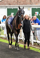 Gt_Yarm_Races_24_Aug_2021-4