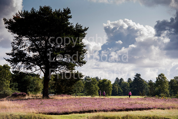 LB_036_Bridgestone_Women