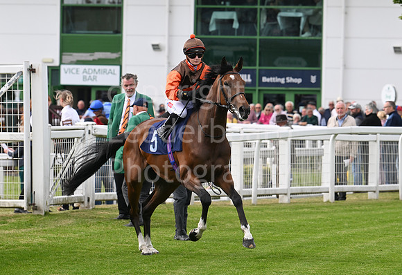 Gt_Yarm_May14_2025-145