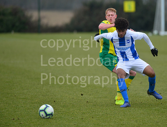 NB_065_NCFC_U18_Brighton