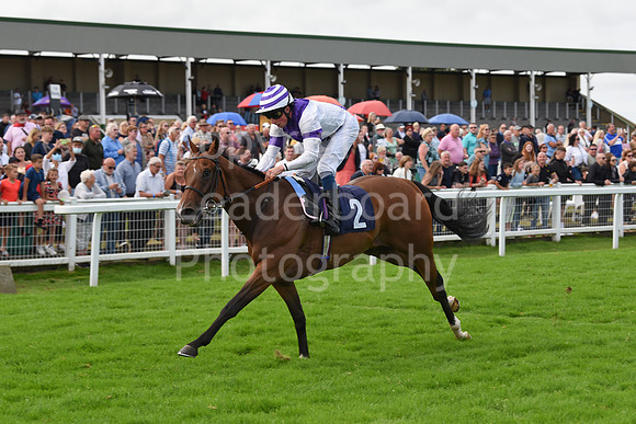 Gt_Yarm_Races_24_Aug_2021-174