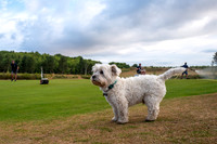 LBP_Greens_McGregor_Trophy_2022-15