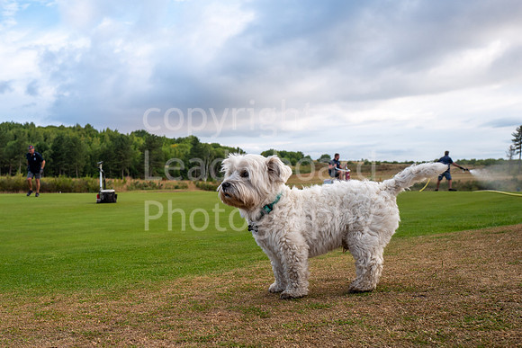 LBP_Greens_McGregor_Trophy_2022-15