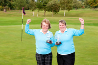 NB_PING_PLATE_WINNERS.