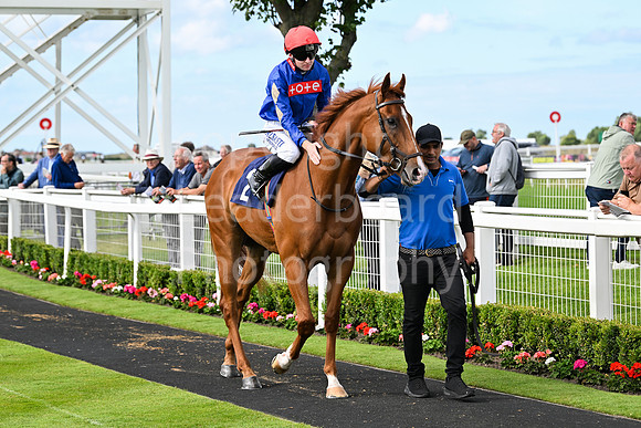 Gt_Yarm_Racing_July_10_-261