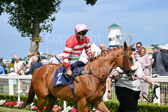 Gt_Yarm_Aug_8_2024-8