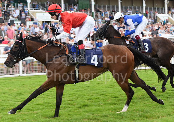 Gt_Yarm_4 Aug_2022-19