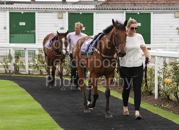 21_GY_8_Aug_Pony_Racing