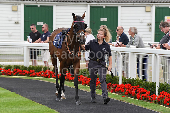 Gt_Yarm_3_Aug_2022-4