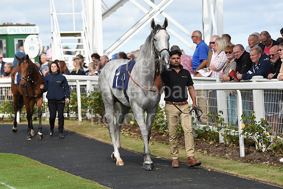 Gt_Yarm_Eastern_Fest_Day_2-5
