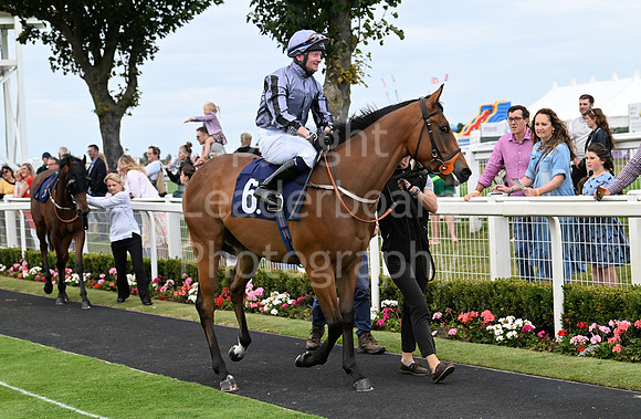 Gt_Yarm_25_Aug_Family_Raceday_2024-229