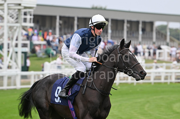 Gt_Yarm_19_Aug_Evening_Race-139