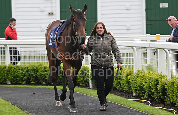 Gt_Yarm_May_22_2024-176