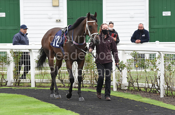 Gt_Yarmouth_Races_230Aug-88