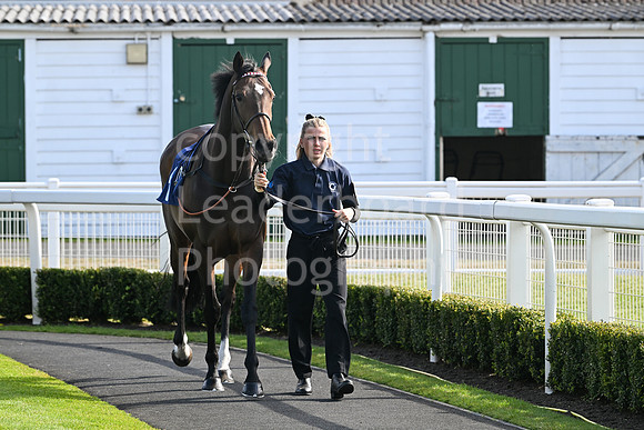 Gt_Yarm_May14_2025-228