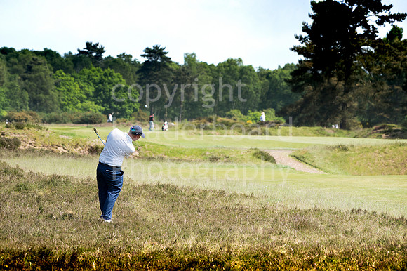 LB_Brabazon_2017_1195