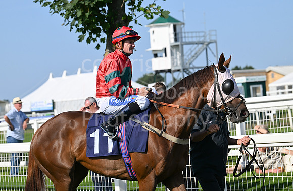 Gt_Yarm_July_30_2024-258
