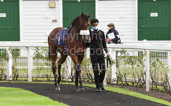 Gt_Yarmouth_Races_230Aug-114