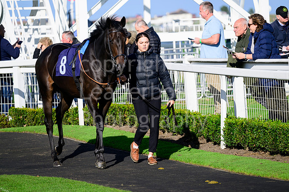 NZ9_4961