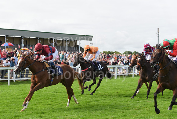 Gt_Yarm_Races_24_Aug_2021-207