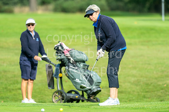 LBP_Ping_Women_2024-18