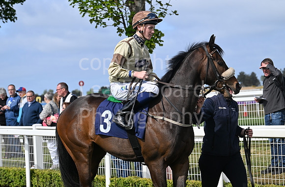 Gt_Yarm_May14_2025-197